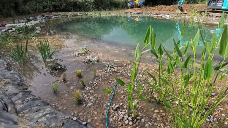 Turtle Productions Grand Designs swimming pond Luton epdm liner bespoke onsite liner welding services