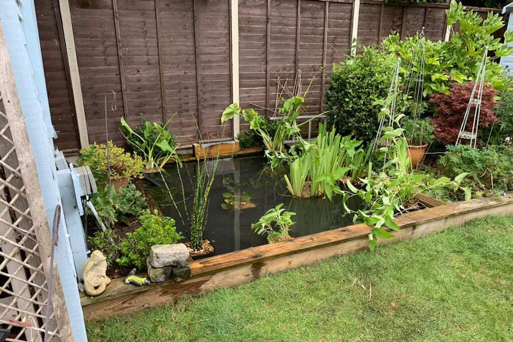 Pond restoration and associated landscaping in Cheltenham by Turtle Productions