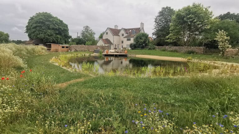 Turtle Productions first full build swimming pond bristol