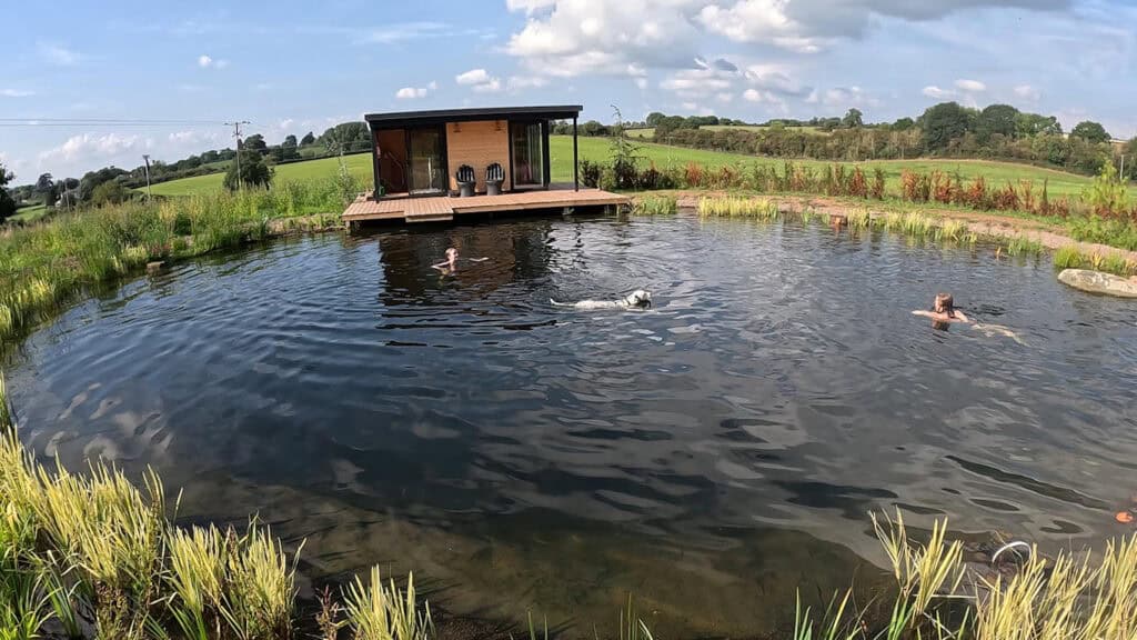 Turtle Productions 2nd full creation eco natural swimming pond