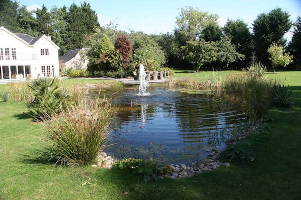 Turtle Productions epdm liner wildlife lake