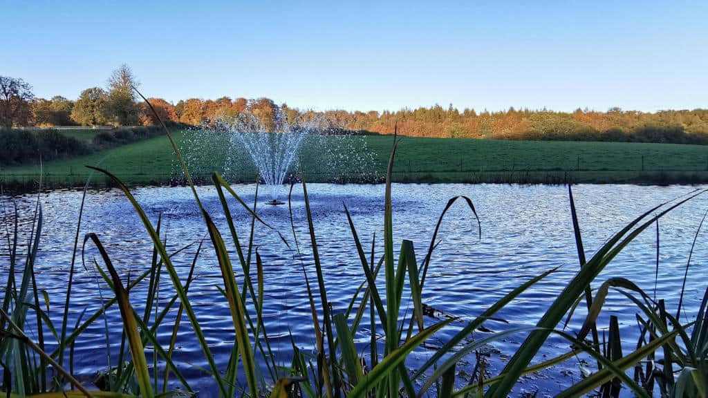 Turtle Productions wildlife pond lake epdm lining liner planting floating fountain