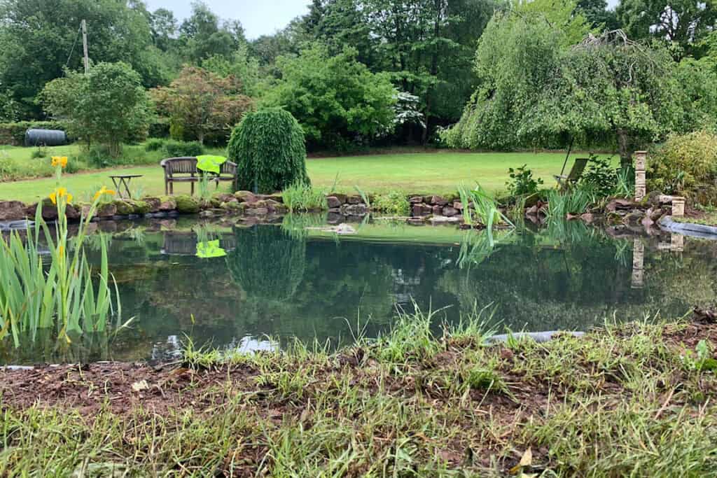 Lovely pond restoration in Monmouth by Turtle Productions