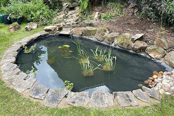 Garden Pond