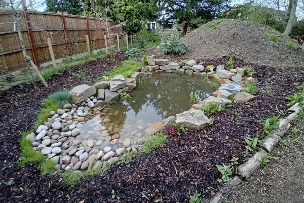 New 3x2m wildlife pond in Cheltenham by Turtle Productions