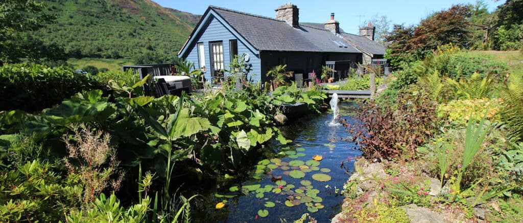 25 years of pond installations by Turtle Productions